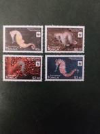 Wwf Tonga 1768-1771 zeepaardje 2012 postfris mi 8.50 eu, Ophalen of Verzenden, Dier of Natuur