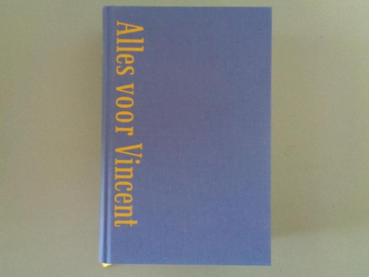 Alles voor Vincent - Het leven van Jo van Gogh-Bonger, Boeken, Kunst en Cultuur | Beeldend, Zo goed als nieuw, Schilder- en Tekenkunst