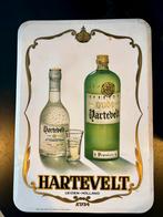 Hartevelt leiden jenever glacoide, Verzamelen, Merken en Reclamevoorwerpen, Ophalen, Zo goed als nieuw, Reclamebord