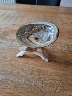 Abalone Schelp op Houten Standaard, Ophalen, Overige materialen, Gebruikt, Schaal