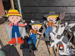 Tuinversiering boerderij, Ophalen, Gebruikt
