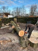 Gratis hout in GELDERMALSEN, 3 tot 6 m³, Ophalen