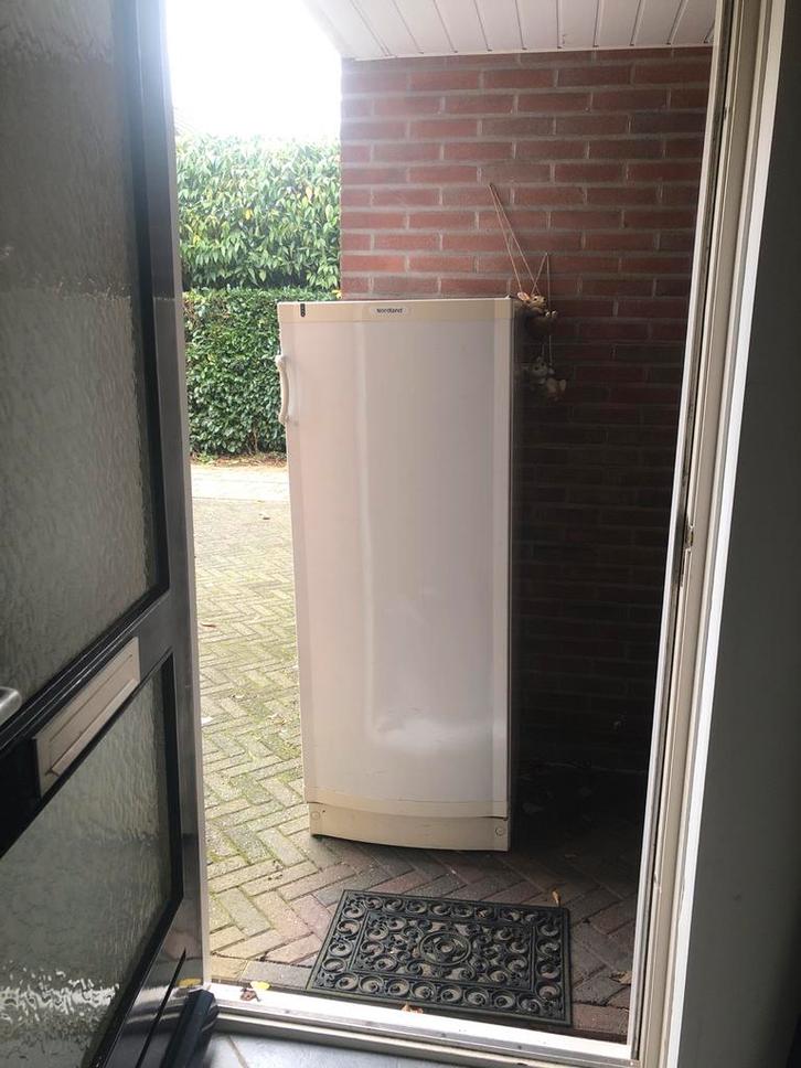 Vrieskast - Koel en Vries Perfect!, Witgoed en Apparatuur, Vriezers en Diepvrieskisten, Gebruikt, Vrijstaand, Vrieskast, 160 cm of meer