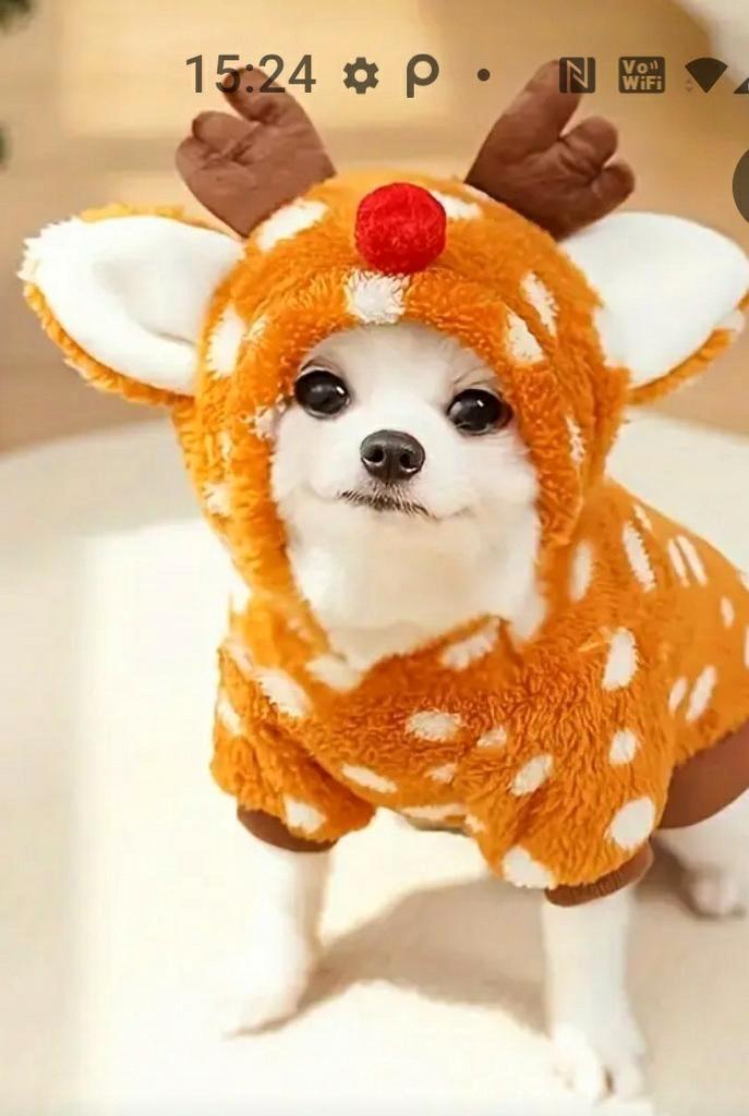 Honden jas rendier/ bambi nieuw 5€, Dieren en Toebehoren, Hondenkleding, Nieuw, Hondenjas, Ophalen