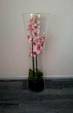 Mooie Orchideeën ( kunst) in glazen zuil., Huis en Inrichting, Ophalen, Zo goed als nieuw