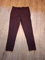 Nette herenbroek maat L, Ophalen of Verzenden, Zo goed als nieuw, Maat 52/54 (L), Paars