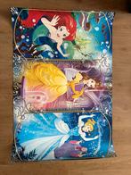 Disney prinsessen poster (2 stuks - 65x97 cm), Ophalen of Verzenden, Zo goed als nieuw, Rechthoekig Staand