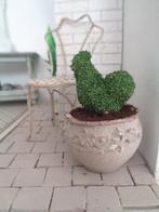 Brocante buxus kip in pot....Poppenhuis 1:12... (Nr F7)*, Ophalen of Verzenden, Nieuw, Poppenhuis