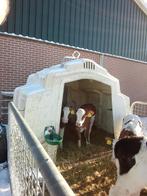 Gezocht groepsiglo kalverstal iglo kalverhut schuilstal, Dieren en Toebehoren