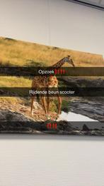 Opzoek rijdende beun scooter, Ophalen, Gebruikt, Overige modellen, Maximaal 45 km/u