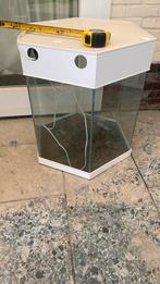 Aquarium 62cm hoog 60 breedt, Ophalen of Verzenden, Zo goed als nieuw, Leeg aquarium