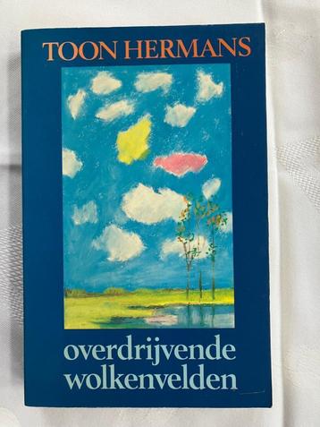 Overdrijvende wolkenvelden / Toon Hermans beschikbaar voor biedingen