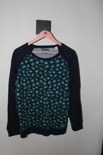 Scotch & Soda Trui Maat M, Ophalen of Verzenden, Gedragen, Overige kleuren, Scotch and Soda