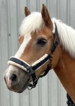 Eskadron Halster Zwart Lak W Full Bont, Ophalen of Verzenden, Gebruikt, Overige soorten