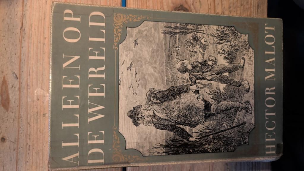 Alleen op de wereld - Hector Malot, Boeken, Literatuur, Ophalen of Verzenden