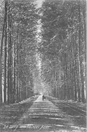 (701-340-041) De Steeg Middachter Allee beschikbaar voor biedingen