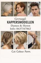 Knip modellen kappersmodellen gezocht (gratis), Overige uren, Overige niveaus, Stage