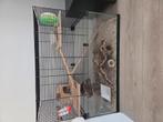 hamsterkooi met hamster te koop, Dieren en Toebehoren, Knaagdieren en Konijnen | Hokken en Kooien, Ophalen, Kooi, 60 tot 90 cm