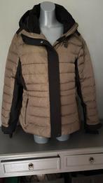 8848 Altitude warme Ski Jas winterjas wintersport 44 XL, XXL, 8848 altitude, Bruin, ., Maat 46/48 (XL) of groter