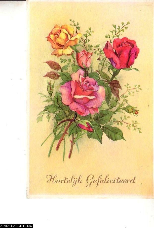 Ansichtkaart	Bloemen  	Rozen, Verzenden, 1940 tot 1960, Ongelopen, Natuur