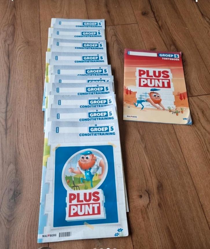 Plus punt inclusief toesten en antwoorden boeken., Hobby en Vrije tijd, Gezelschapsspellen | Overige, Zo goed als nieuw, Ophalen of Verzenden
