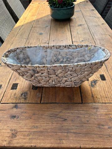 Mand / plantenschaal beschikbaar voor biedingen