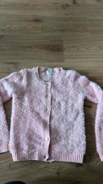 Knuffelvest mt 122/128 Hema, Ophalen of Verzenden, Zo goed als nieuw, Meisje, Trui of Vest
