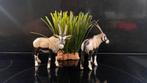 Schleich Afrika: Oryx Antilope kudde 2x, Verzamelen, Dierenverzamelingen, Ophalen of Verzenden, Zo goed als nieuw, Paard, Beeldje of Figuurtje