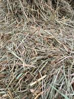 Duits kruidenhooi Venhorst, Ophalen of Verzenden, Vee