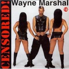 Wayne Marshall, Cd's en Dvd's, Cd's | Reggae en Ska, Gebruikt, Ophalen of Verzenden