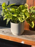 Bloempot Ikea, Rond, Ophalen of Verzenden, Zo goed als nieuw, Aardewerk