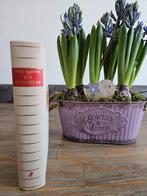 Hans Martin - Het Onvervulde - Roman, Ophalen of Verzenden, Gelezen, Hans Martin, Nederland