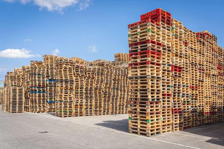 💶de pallet opkoper 💶 let op u pallets zijn geld waard💰, Doe-het-zelf en Verbouw, Hout en Planken, Pallet, Minder dan 200 cm