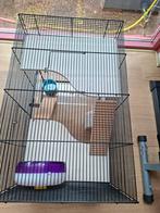 Hamsterkooi  / knaagdier  Ferplast Karat 60 met toebehoren, Dieren en Toebehoren, Kooi, Minder dan 75 cm, Zo goed als nieuw, Hamster