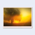 Todd Hido – The End Sends Advance.. - Poster (gesigneerd!), Ophalen of Verzenden