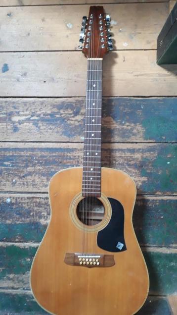 12 snarige gitaar beschikbaar voor biedingen