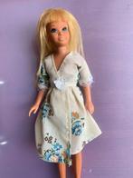 Imitatie yum yum jurkje voor Skipper, Ophalen of Verzenden, Gebruikt, Fashion Doll