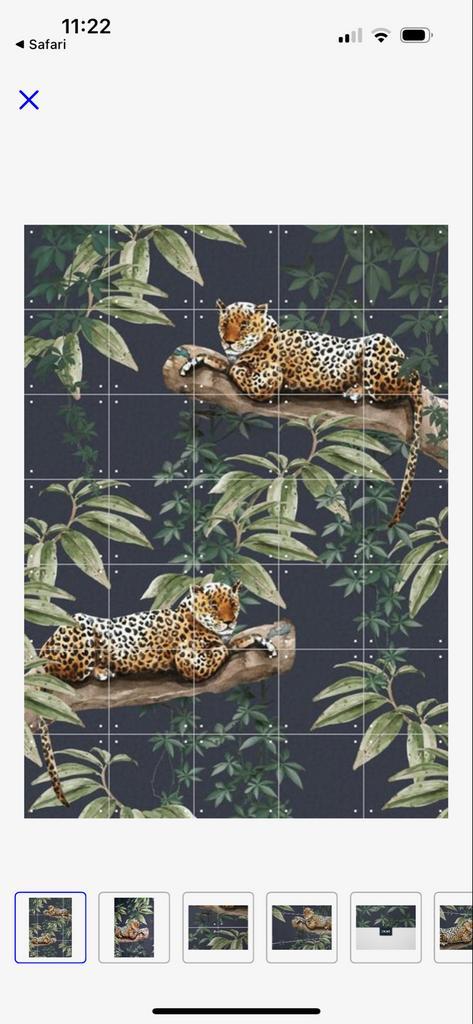 Ixxi Chilling in the Jungle wanddecoratie, Huis en Inrichting, Woonaccessoires | Wanddecoraties, Zo goed als nieuw, Ophalen of Verzenden