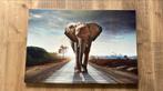 Tuinposter / canvas / schilderij olifant, Ophalen, 50 tot 75 cm, Zo goed als nieuw, Schilderij