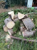 Haardhout gratis ophalen!, Tuin en Terras, Planten | Bomen, Ophalen, Volle zon, Overige soorten