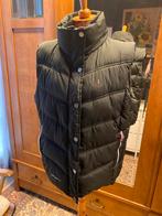 Zwarte gewatteerde bodywarmer Björnson, Zwart, Maat 42/44 (L), Ophalen of Verzenden, Zo goed als nieuw