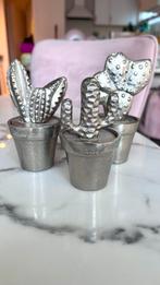 Riviera Maison Cactus Decoratie Set, Huis en Inrichting, Ophalen of Verzenden, Zo goed als nieuw