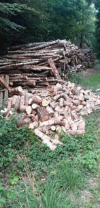 Brandhout Haardhout Stamhout berken Kachelhout 25-30CM, Tuin en Terras, Haardhout, 6 m³ of meer, Ophalen, Berkenhout, Blokken