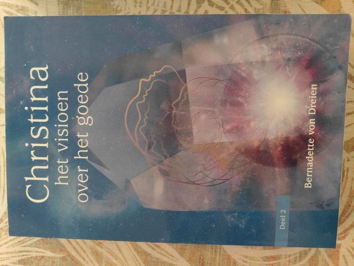 Bernadette von Dreien - Het visioen over het goede, Boeken, Esoterie en Spiritualiteit, Zo goed als nieuw, Achtergrond en Informatie