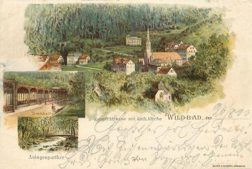 (701-252-039) Wildbad, Verzamelen, Ansichtkaarten | Buitenland, Duitsland, Verzenden