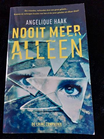 Thriller: Angelique Haak - Nooit meer alleen  beschikbaar voor biedingen