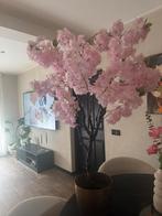 Bloesemboom, Ophalen, Nieuw