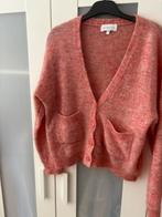 Maison Anje vest maat S, Kleding | Dames, Truien en Vesten, Ophalen of Verzenden, Zo goed als nieuw, Maat 36 (S)