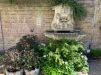 Wandfontein/muurfontein met engeltjes en een leeuwenkop, Tuin en Terras, Waterpartijen en Fonteinen, Ophalen, Gebruikt, Beton
