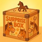 Surprise box voor paarden!, Dieren en Toebehoren, Ophalen of Verzenden, Nieuw
